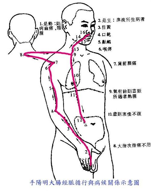 阳明头痛