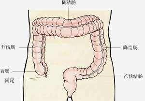 假膜性肠炎