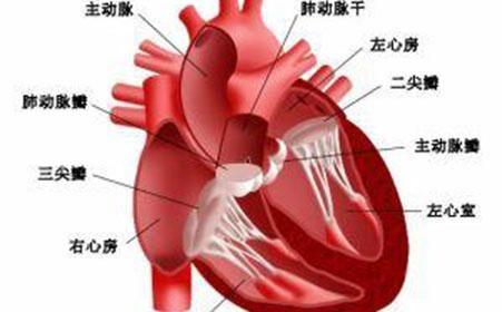 慢性心衰