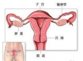 外阴结核
