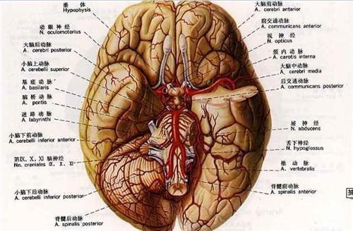原发性癫痫
