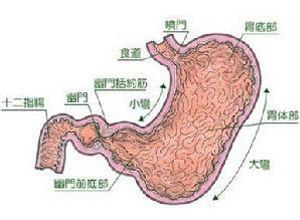 急性胃粘膜病变