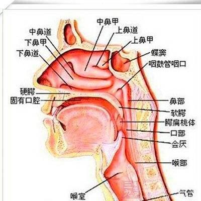 血管运动性鼻炎