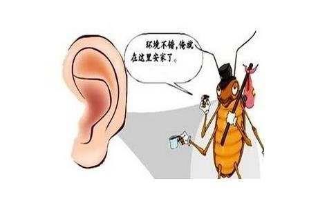 外耳道异物