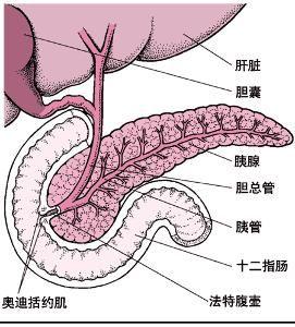 胰腺外伤