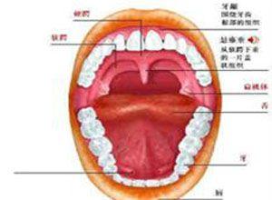 舌咽神经损伤