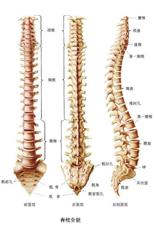 颈椎椎管狭窄症