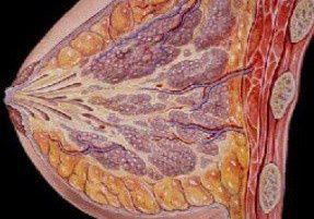 急性化脓性乳腺炎