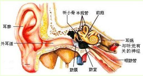 慢性外耳道炎