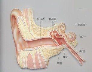 慢性外耳道炎