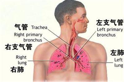 病毒性支气管炎