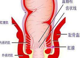 直肠肛管先天性疾病