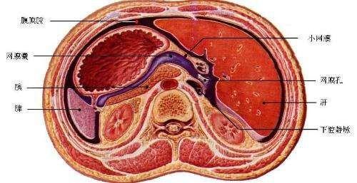 腹腔出血