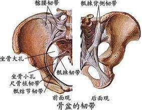 骨盆痛