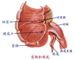缺血性结肠炎