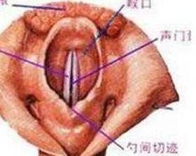 咽喉干燥充血