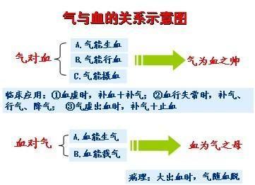 气不摄血