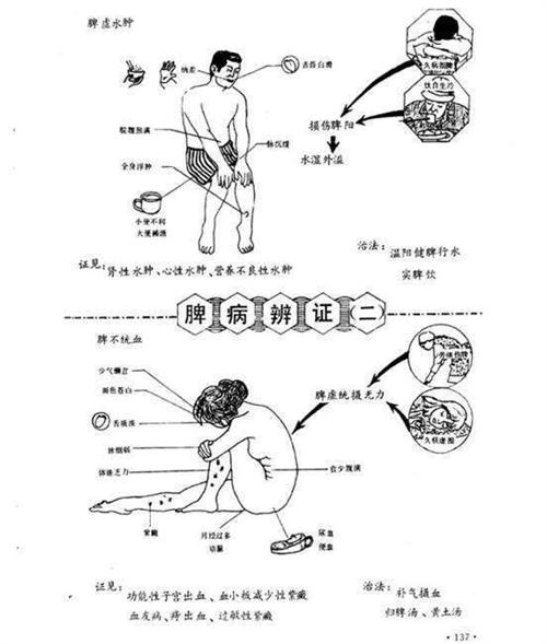 气不摄血