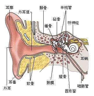 耳鼓膜破裂