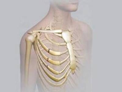 胸肋骨痛是什么症状