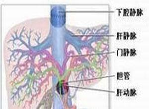 脉氧合不足