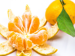 预防骨质疏松每天吃3-5个橘子