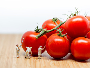 晚间西红柿减肥法 健康瘦身不怕肥