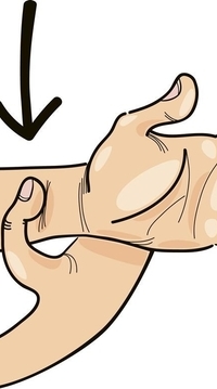 ؼ٤
