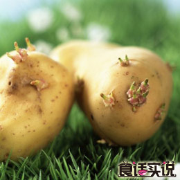 食话实说第43期：土豆长了芽还能不能吃？