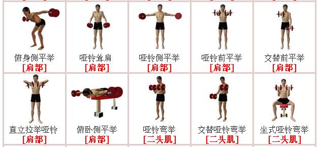 哑铃锻炼腰部方法图解图片