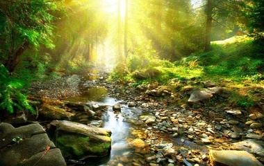 Ҷ_chua3