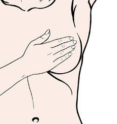 ʽչ