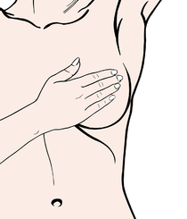 ʽ