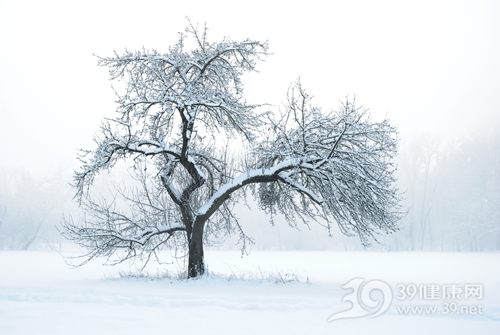 冬天 下雪 雪景_13954207_xxl