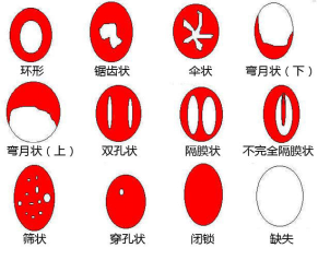 ͼƬ1