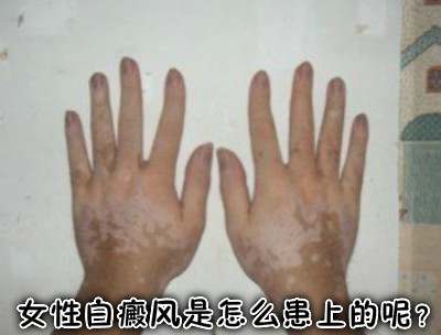 org_751094.jpg