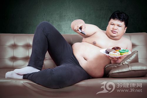 青年 男 肥胖 超重 甜品 甜甜圈 沙发 看电视_31351551_xxl