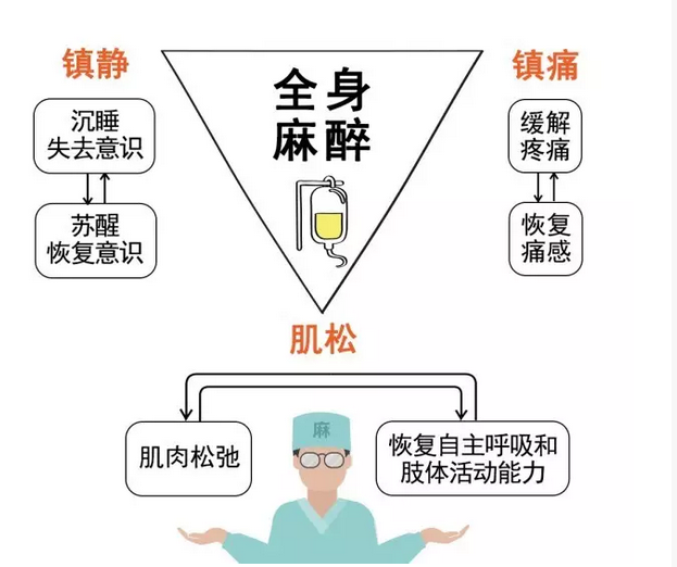 一针倒闷驴带你八一八麻醉史上下一千年