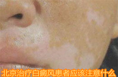 org_1029980.png