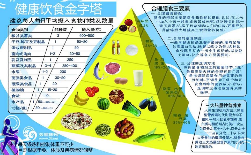中国人饮食结构金字塔图片