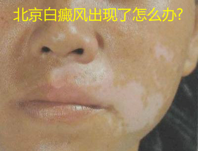 org_1054057.jpg