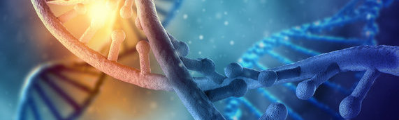 广东省保健协会第三届会员代表大会（换届大会）顺利召开