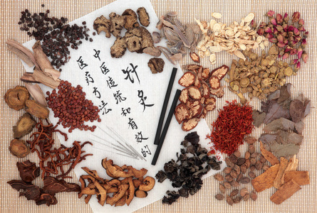 看图识药：五加皮和地骨皮长得很像，但功效作用截然不同！