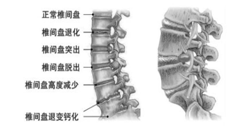 org_4316538.jpg