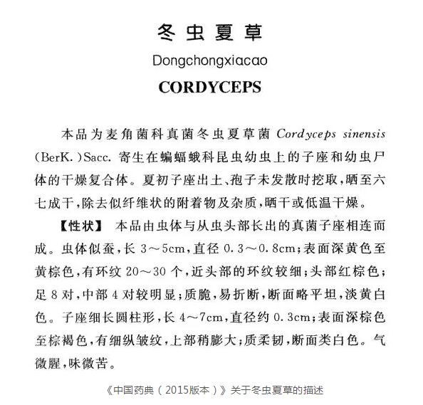 冬虫夏草是好药，但不可乱用！中医推荐4种养生搭配