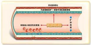 说明:凯那3
