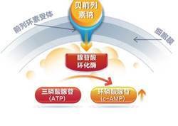 说明:凯那作用