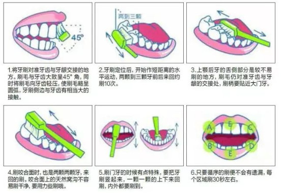爱牙日：牙刷、牙线这样用才能护好你的牙