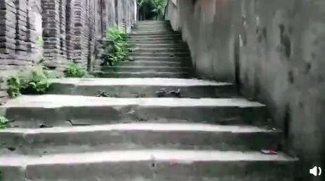 重庆人不胖的原因:他们不是在爬坡，就是在爬楼梯(图3)