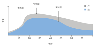 整个生命周期的质量